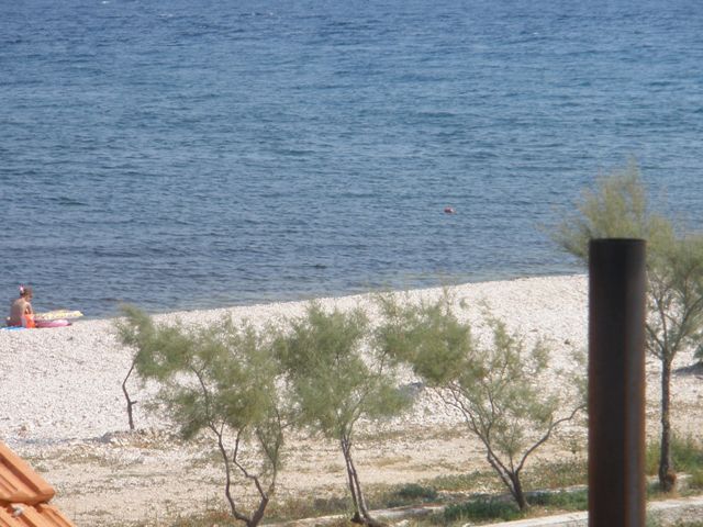 Image 01